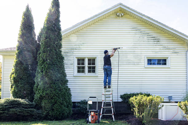Best Affordable Pressure Washing  in Mount Vernon, GA