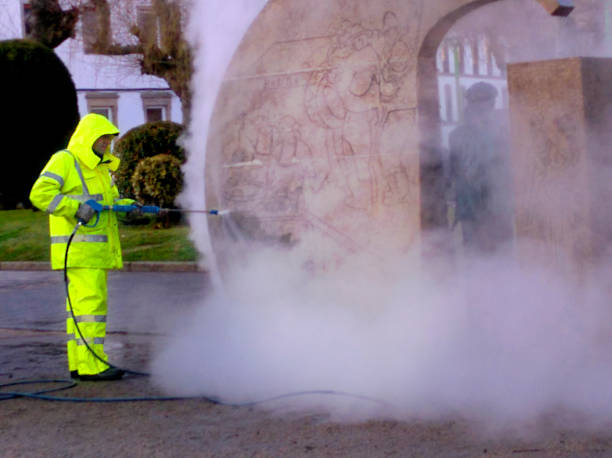 Best Local Pressure Washing Services  in Mount Vernon, GA